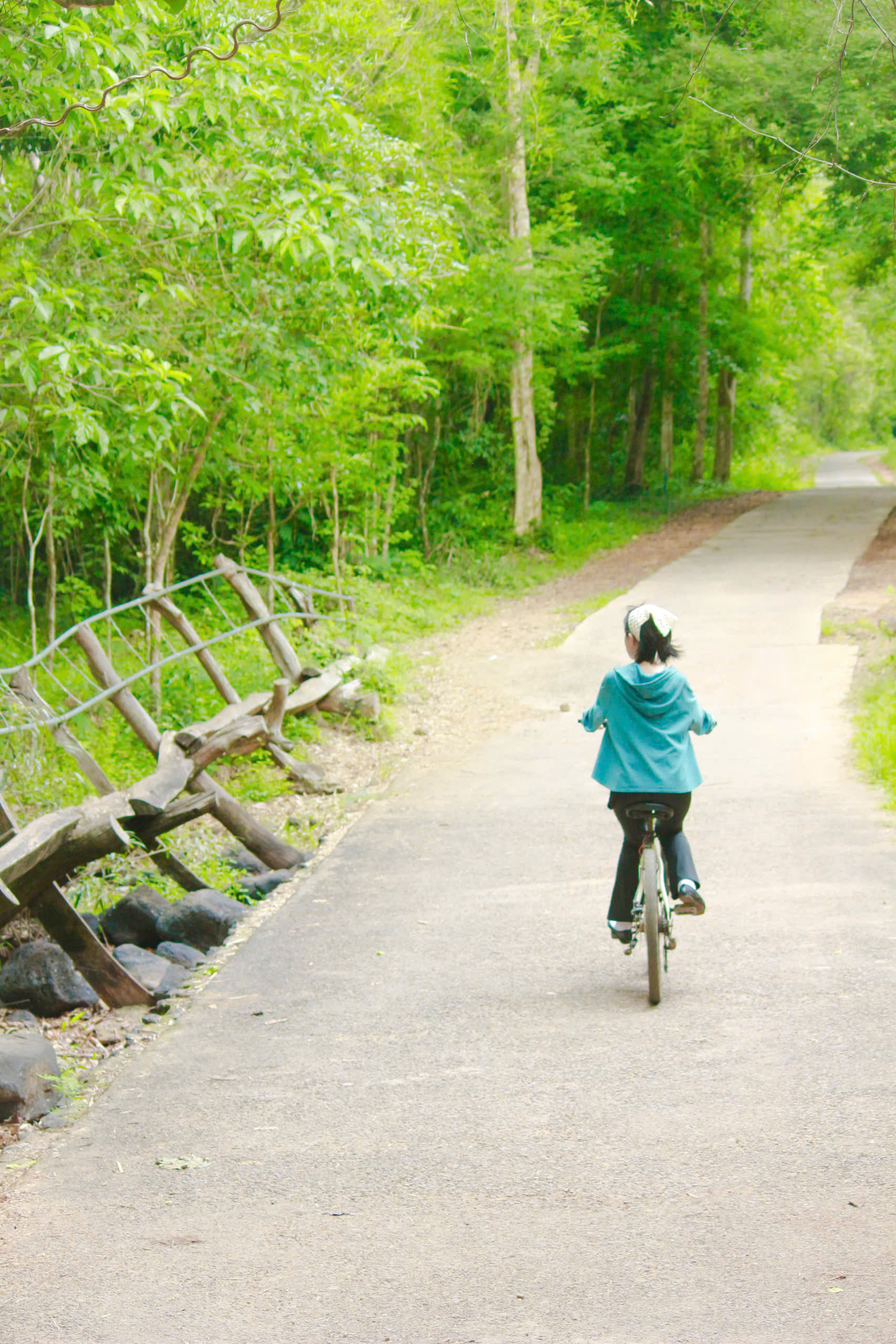 多様な自然と出会うカットティエンでトレッキング体験 - Walking